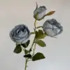 Rosas secas quemadas