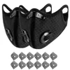 2 masks, 12 filters (black)