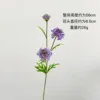 fiore selvatico [Viola scuro]