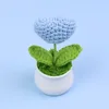 Bleu-Petite plante en pot en forme de coeur