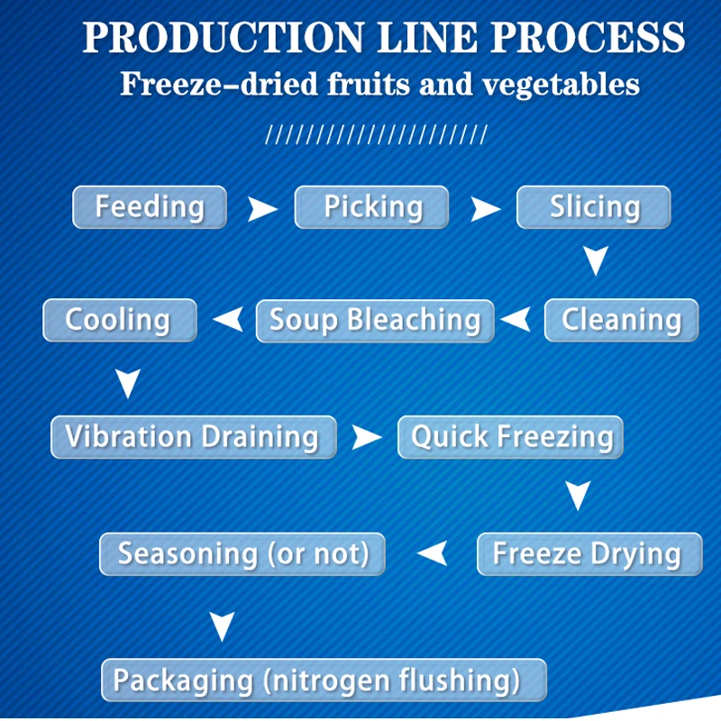 TCA Automatic Coffee Lyophilizer Vegetable Food Vacuum Freeze Dryer Production Line