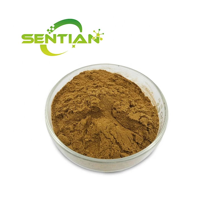 Free Sample Natural Celandine Extract Chelidonium Majus Extract Powder 10:1 Chelidonium Extract