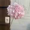 Ortensia