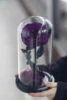 Singolo viola (15*30 cm)