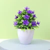 Five-leaf plum purple