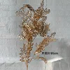 Feuilles de céleri