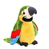 loro verde
