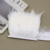 Garniture en plumes pointues, longueur des cheveux 10-15 cm