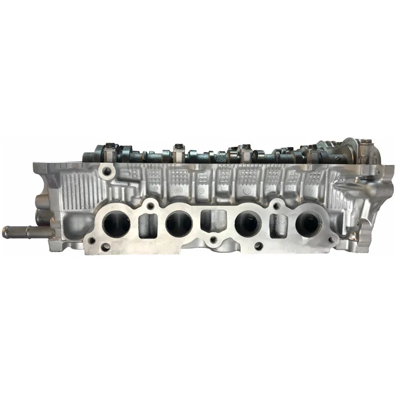 コロンビア産　キプリスモルフォ 111mm s-l1200.jpg