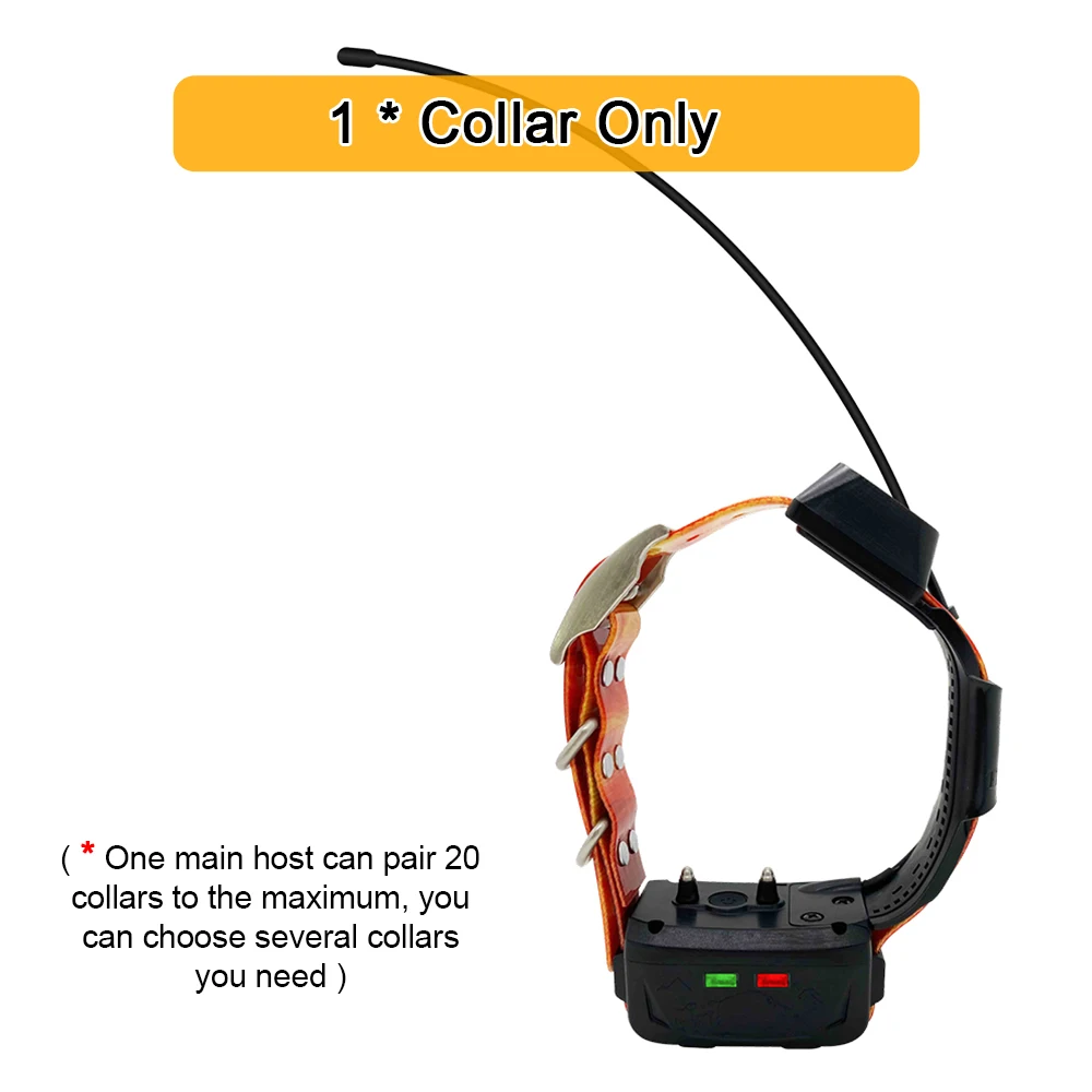 Hunting Dog Collar.jpg