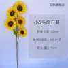 Small five-headed sunflowers, shipped separately.