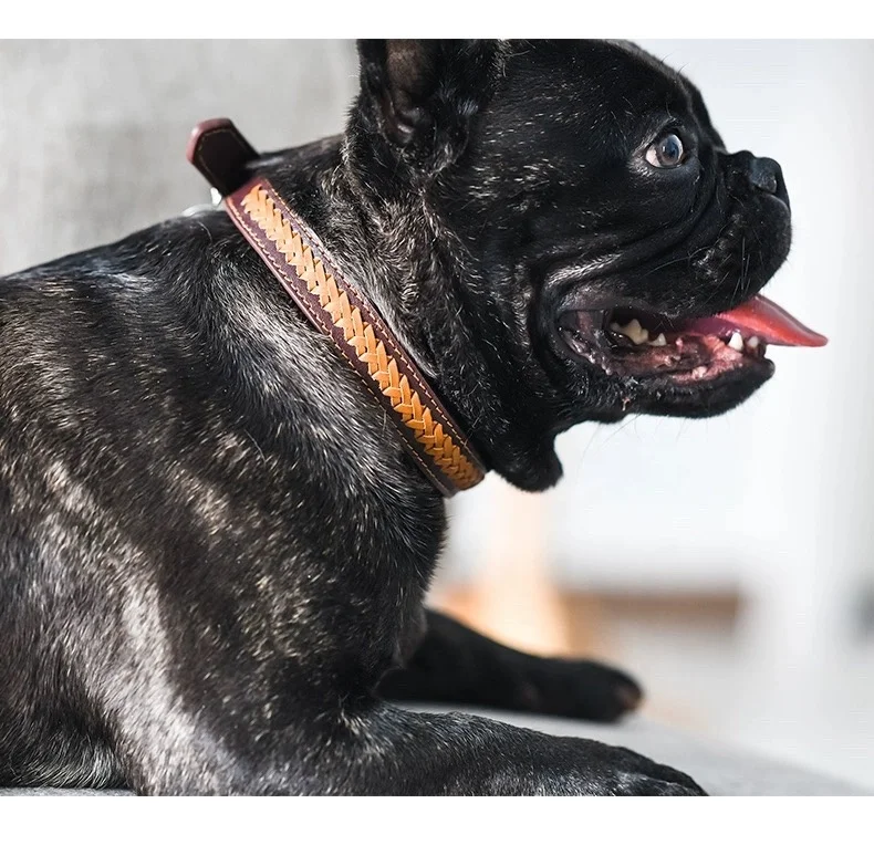 high end dog accessories