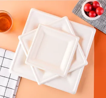 PFAS Free Disposable 6/8/10 inch Sugarcane Bagasse Pulp Plate Square Food Packaging Tray