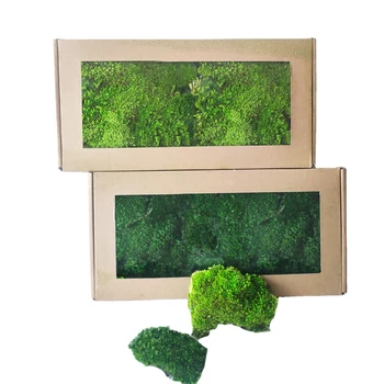 environmental decorative plant 3D Bun Lichen Moss preserved sheet stabilized Preserved Pole Moss for home wall interior decor
