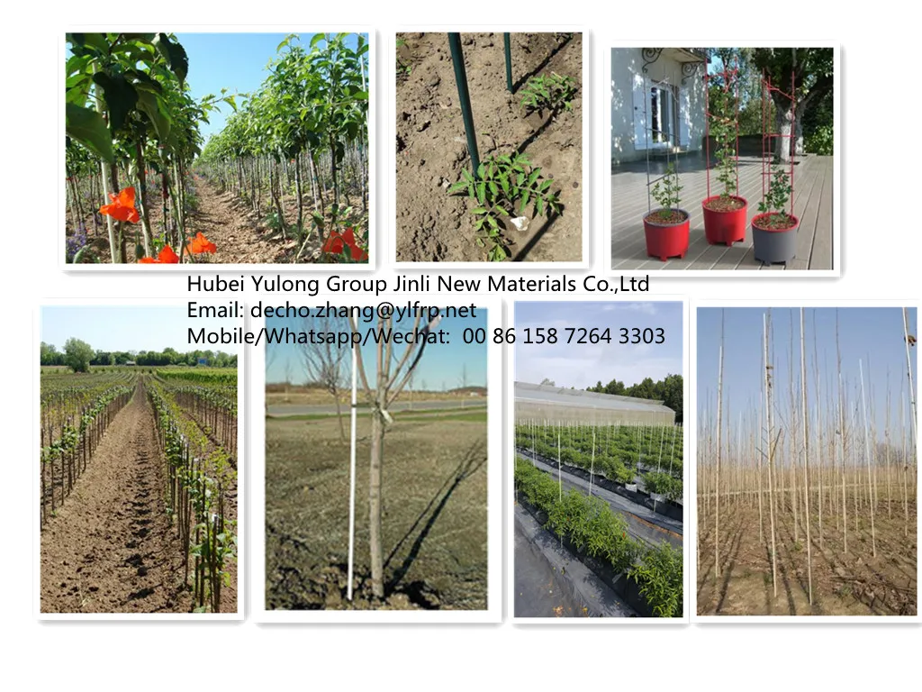 plant stakes.jpg