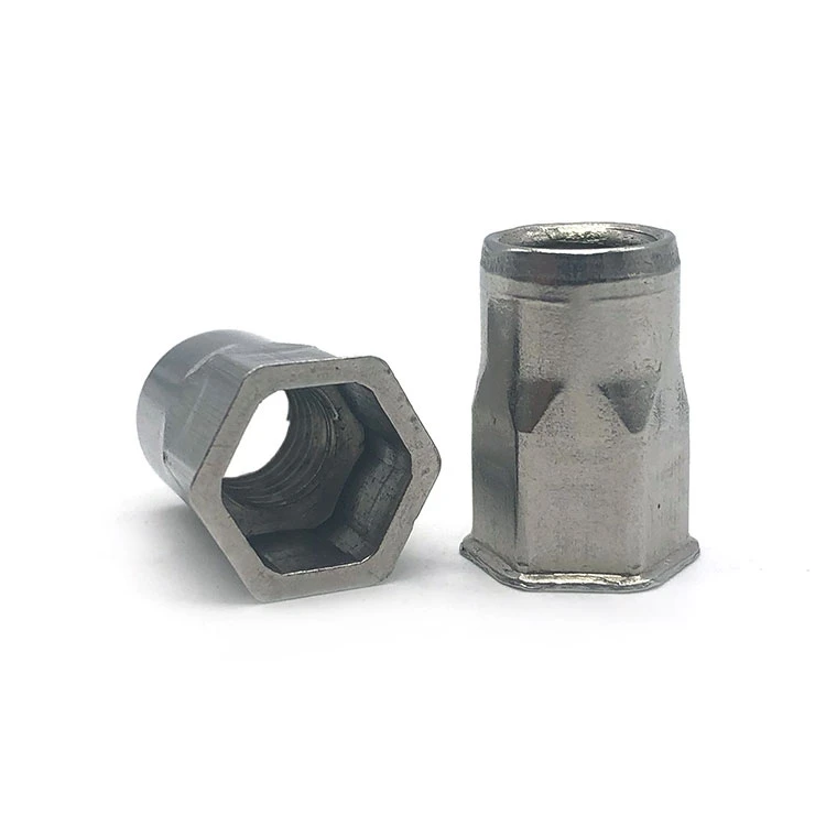 China Factory Oem Odm Fastener Customized Flat Head Hexagon Round Hex Through hole Brass Stainless Steel Blind Rivet Nut
