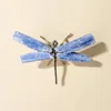 Libélula de Cianita