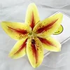 Orange-yellow6
