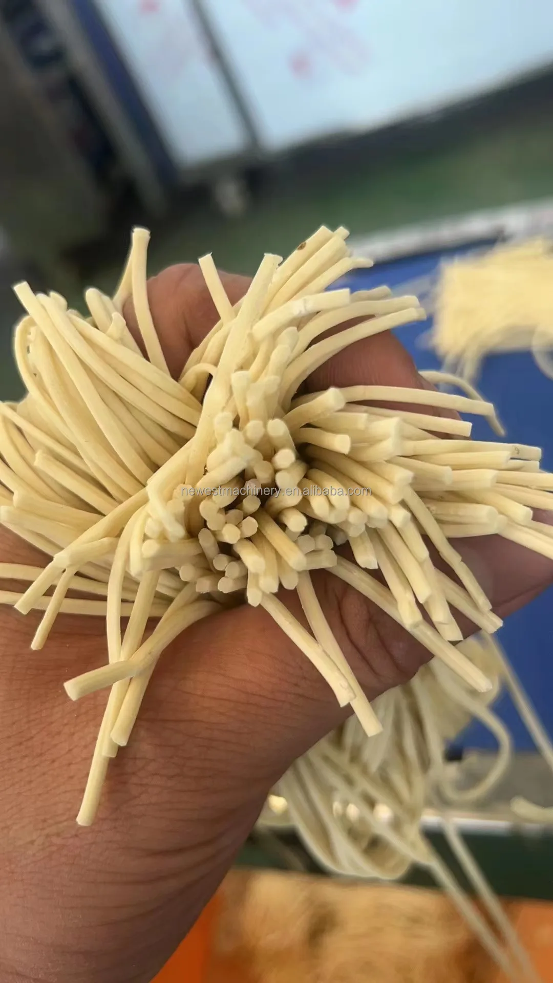 Semi Automatic Compound Pressing Shaved Noodle Soba Ramen Press Noodle ...