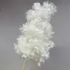 สีขาว