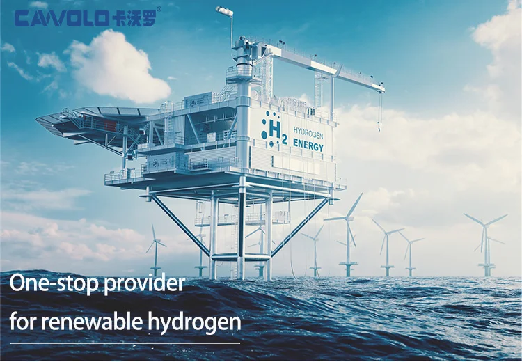 Integrated PEM Pure Water Electrolysis Hydrogen Production System Green ...