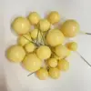 Giallo