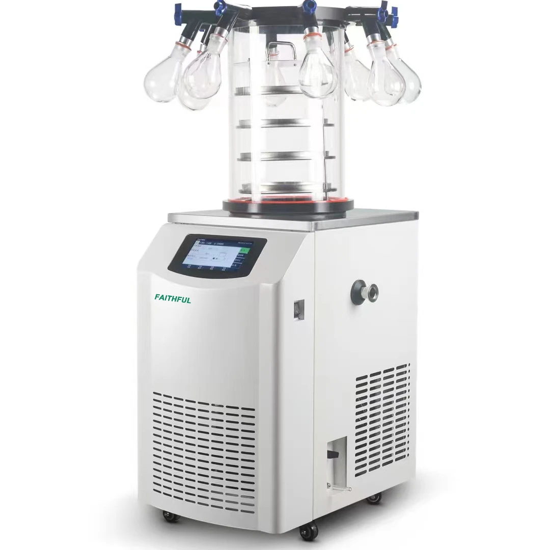 Laboratory Freeze Dryer Machine Table Tope Freeze Dryer for Food Vegetable