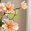 Une fleur de magnolia couleur champagne [les fleurs sont lavables]