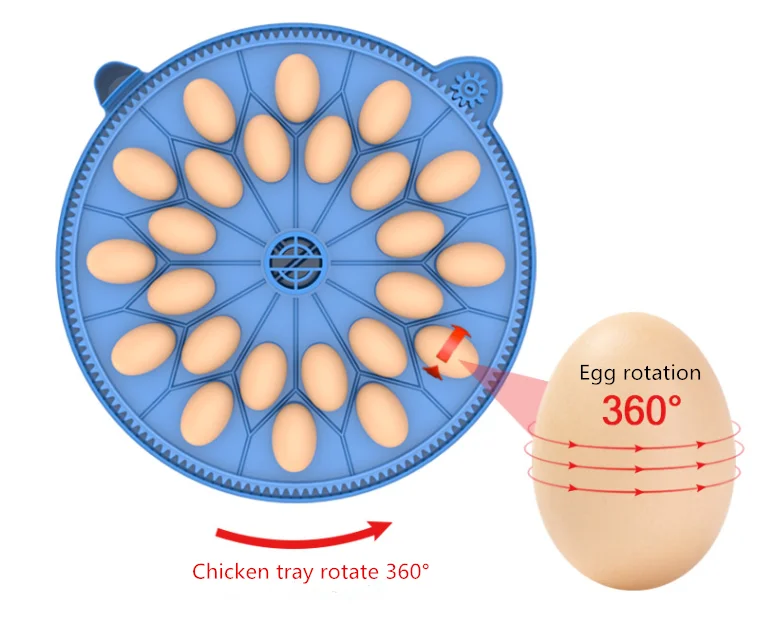 Fully Automatic High Hatching Rate Wholesale Price - Buy Dual Chicken ...