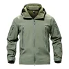 Verde militar