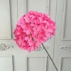 Rose rouge