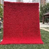 Red09