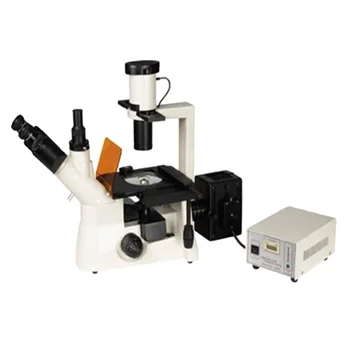 XYL-403Y実験室蛍光倒立顕微鏡| Alibaba.com