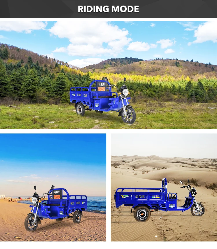 Big Battery 60v 75km Trike 800w 1000w Pedicab Open Body 3 Wheel Bike