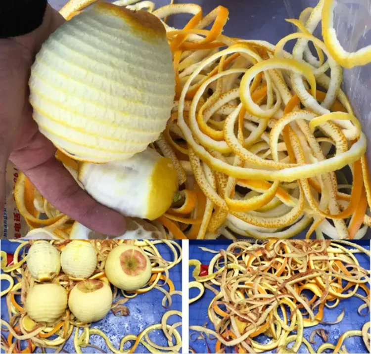 Multi Function Electric Zester Fresh Orange Lemon Peeling Machine Stainless Steel Hand Lemon Peeler Machine