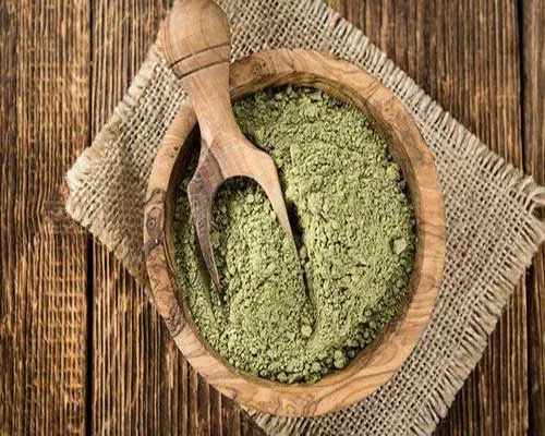Acalypha Leaves Cultivated Wild Indian Acalypha Leaves Powder Plant Extract Food Supplement