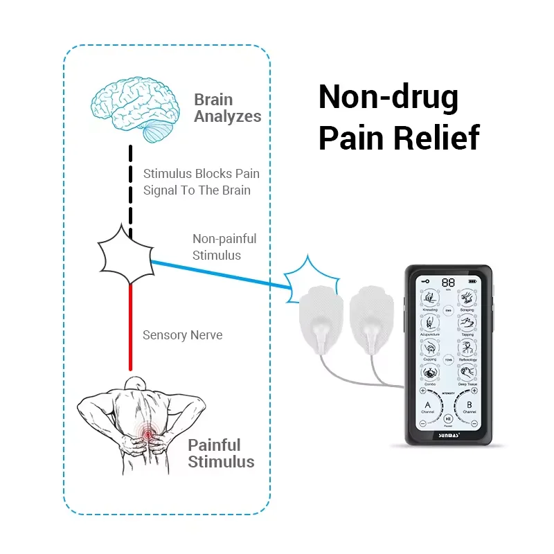 Wholesale Muscle Building Stimulation 2 Channel Acupuncture Touch Screen Body Electric Tens Unit NMES Device