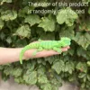 Pequeño arcoiris verde