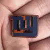 Gi-ER16-ants