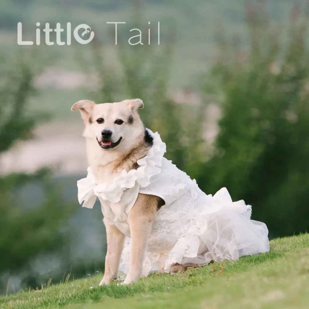 White Dog Wedding Dress Bridal Wedding Costume Puppy Princess Dresses for Small Dogs Luxury Dog Clothes Pomeranian Chihuahua White Dog Wedding Dress Bridal Wedding Costume Puppy Princess Dresses for Small Dogs Luxury Dog Clothes Pomeranian Chihuahua
