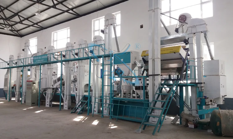 Made in China Rice Millet Processing Plant Rice Millet Mill Milling Machine Millet Grinding Machine