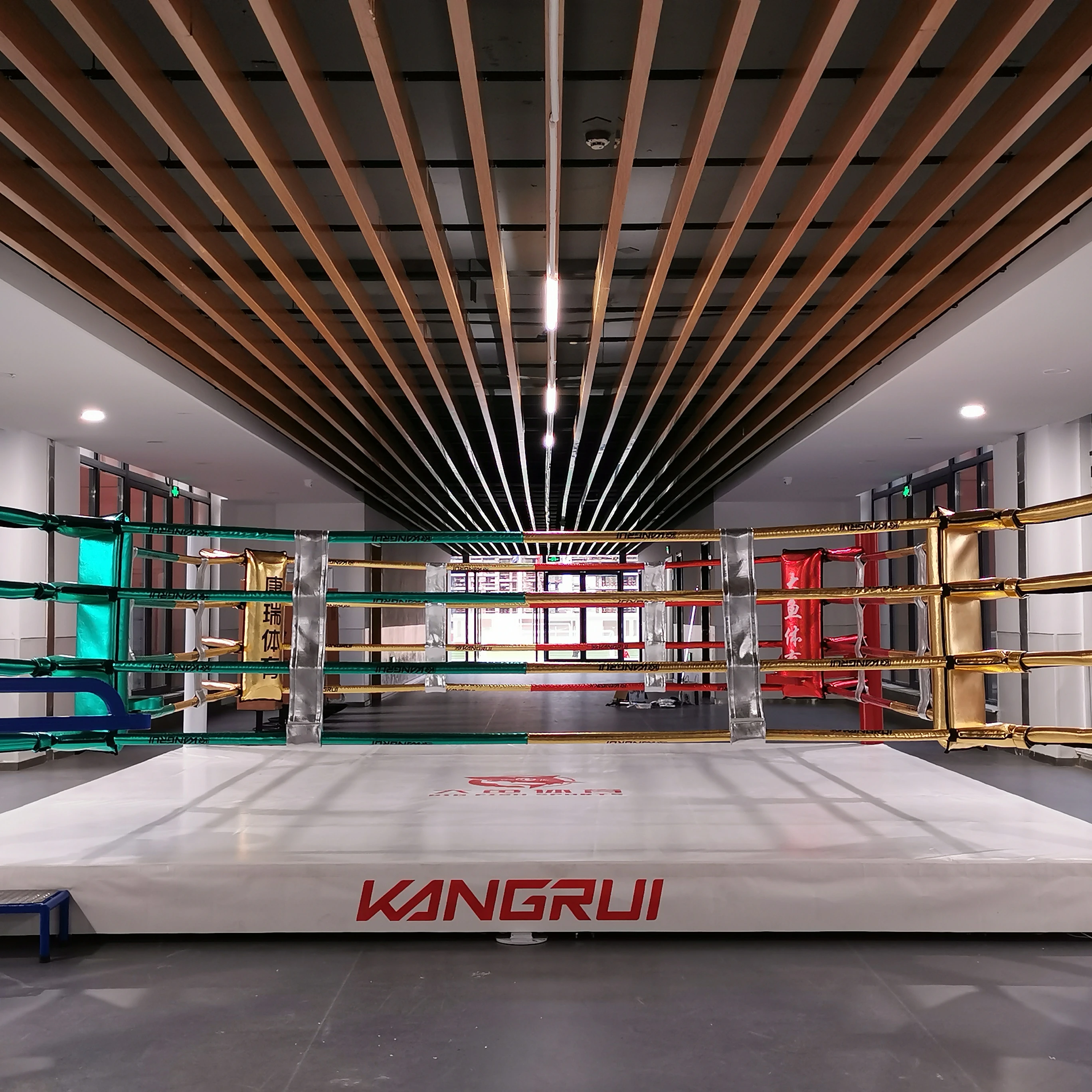 Hot Sale Boxing Cage Cheap Price MMA Ring Customized Wholesale Boxing Ring  for Gym for Training Sports