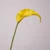 02-Amarillo