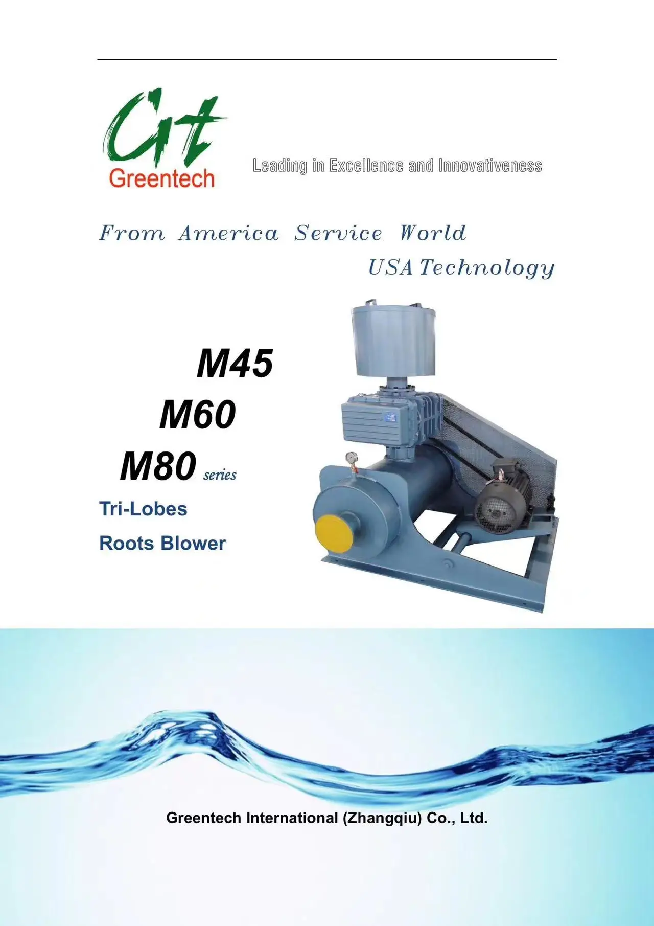 Roots Blower, M4509, 380~440V, Cast Iron - detail 2