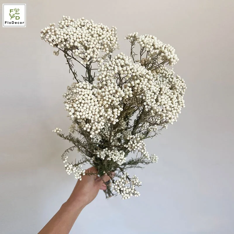 High Quality Real Touch Mini Rice Flower Dried Preserved Flower Bouquet Fresh Natural Stem Eternal Home Decoration