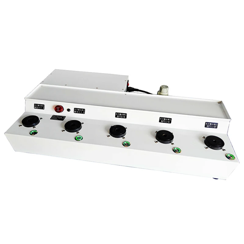 Pneumatischer Schnellkupplungs-Druckkalibrator -0,095 ~ 60 MPa – Detail 1