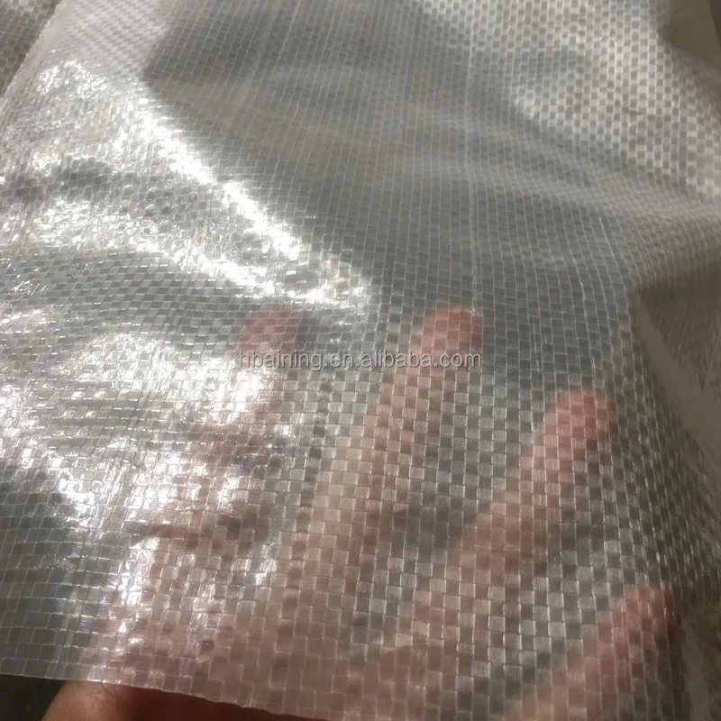 plastic tarp.jpg