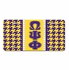17 Omega Psi Phi