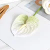 Single film anthurium green no. 4