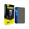 screen protector privacy